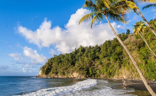 anse coleuvre